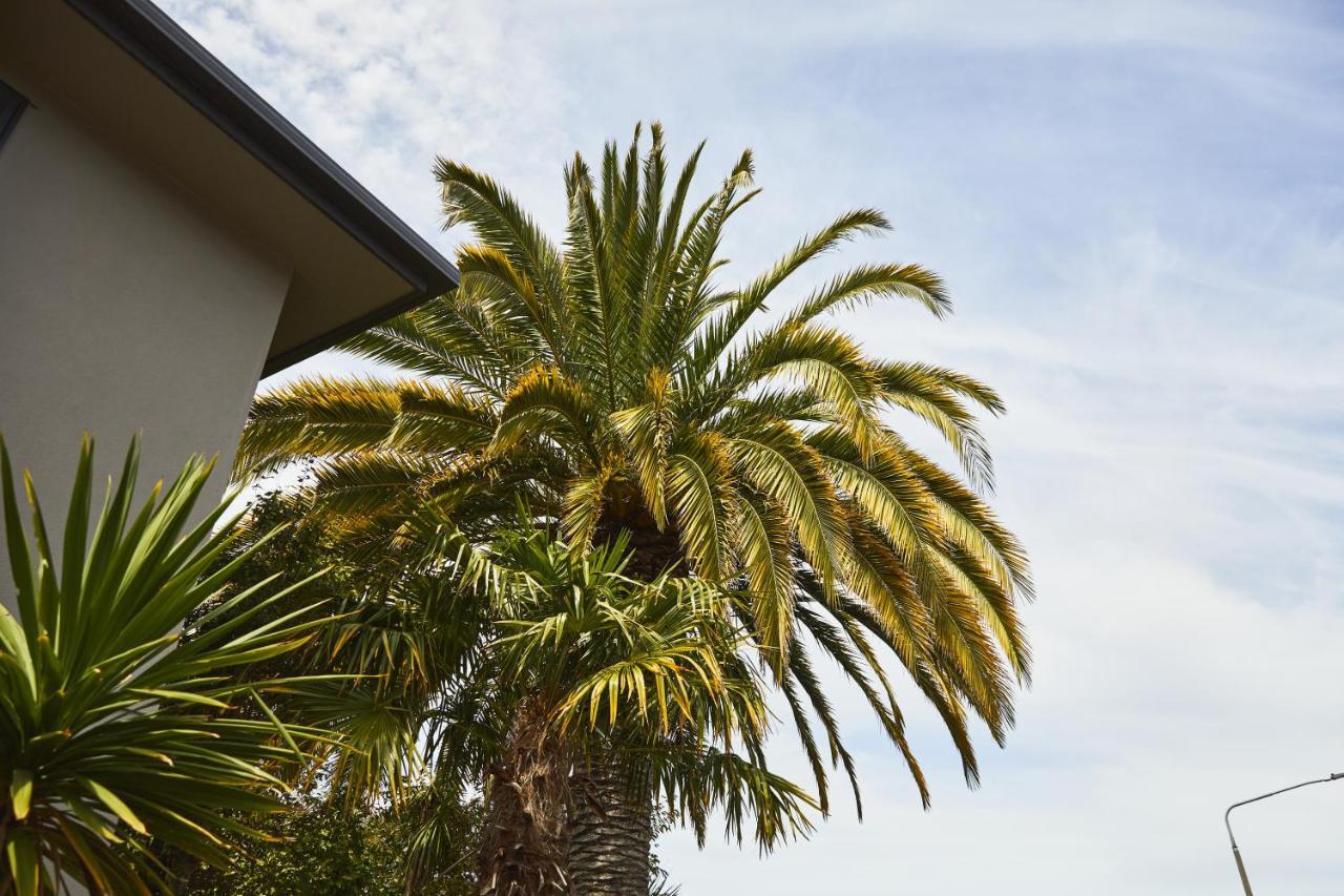 Blenheim Palms Motel Buitenkant foto